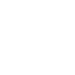 Local Free Run Eggs | Barriefield Market